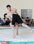 Определились победители чемпионата Баку по сумо среди юношей (ФОТО)