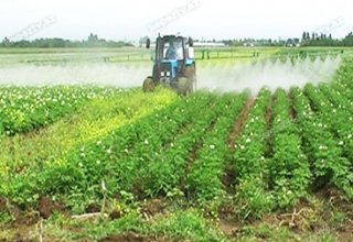 Kazakh farmers to receive state loans for equipment purchases