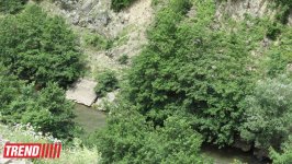 Путешествие по Военно-грузинской дороге в Казбеги: мир удивительной природы, где живет красота (ФОТО)