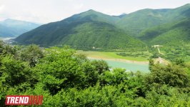 Путешествие по Военно-грузинской дороге в Казбеги: мир удивительной природы, где живет красота (ФОТО)