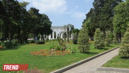 Прославленные курорты Грузии: Цхалтубо и Батуми (ФОТО)