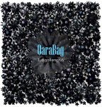 В США вышел в свет диск "QaraBağ: ZulfiqaRenatuS" (ФОТО)