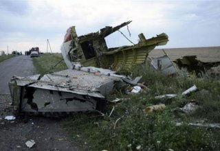 Ukraynanın şərqində "Boeing"-in qəzaya uğraması faktı üzrə "terror aktı" maddəsi ilə cinayət işi açılıb