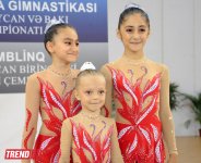 На турнире в Баку определились победители в многоборье по спортивной гимнастике среди взрослых (ФОТО)