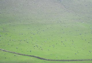 Using gold deposits in Azerbaijan's Gedabey leads to pollution of mountain pastures (PHOTO