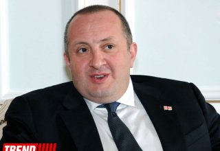 Georgian president cancels his U.S. visit