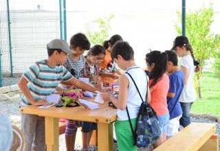 Центр «ЭкоСфера» проводит детский лагерь для юных экологов (ФОТО)