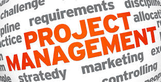 Today project managers use international standards more efficiently (PHOTO)