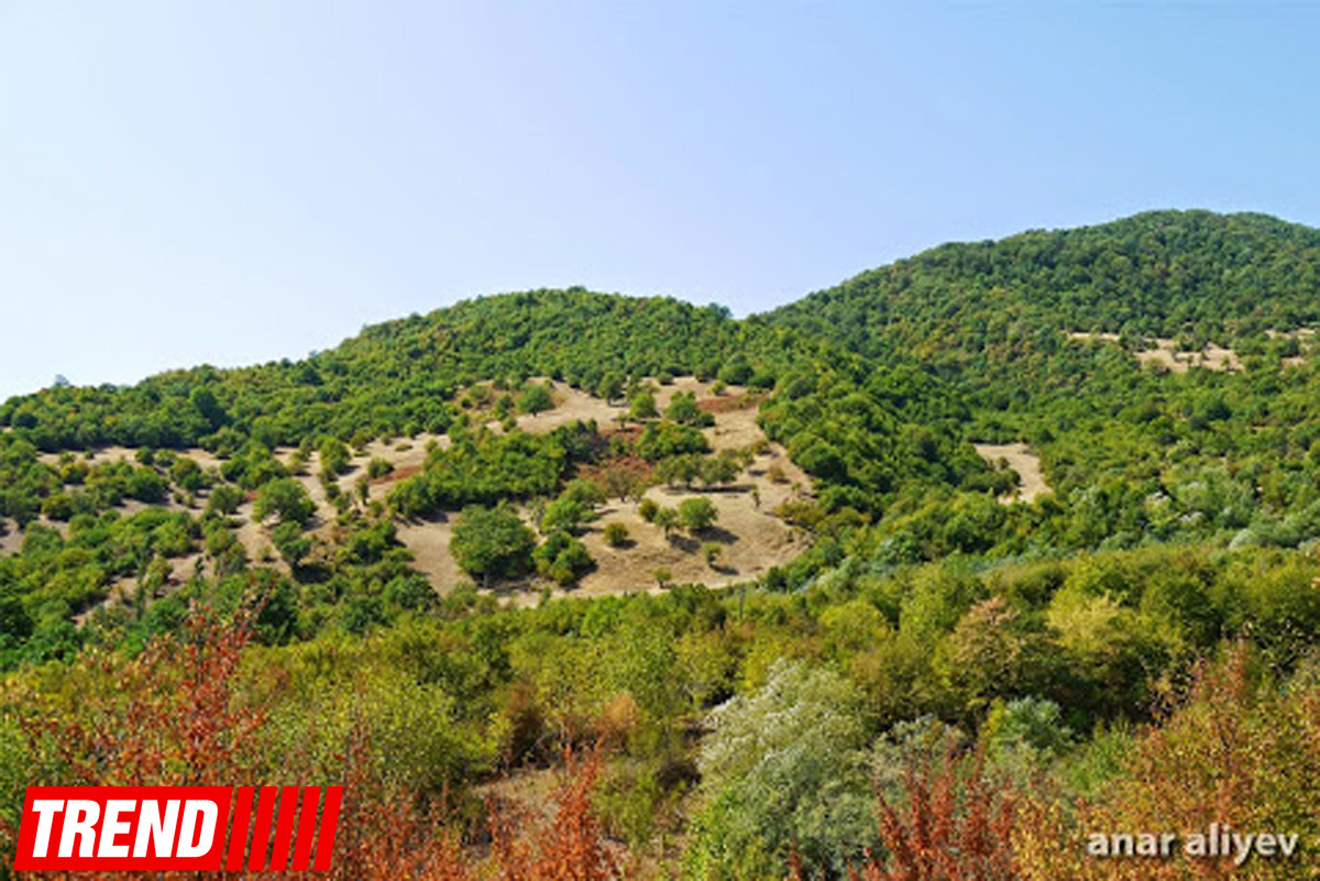 Qədim, sirli Şamaxı - Qəleybuğurt qalası, Kələxana türbəsi, Avaxıl qəbiristanlığı (FOTO)