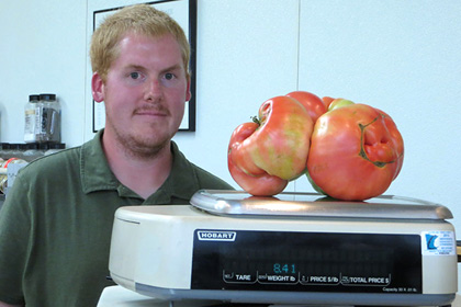 Dünyanın ən böyük pomidoru