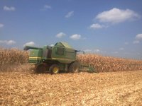 В первом частном зерноводческом хозяйстве Азербайджана зафиксирован рекордный объем урожая кукурузы (ФОТО)