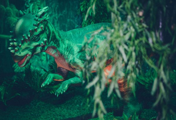 С 18 сентября по 15 октября Баку посетят динозавры! (ФОТО)