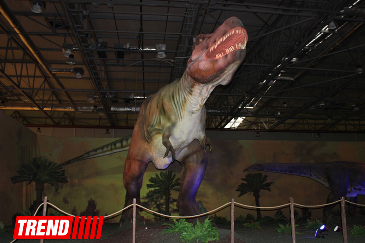 В Баку открылось грандиозное "Шоу динозавров" – звезды, радость детей и родителей (ФОТО)