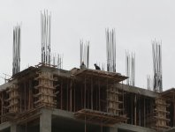В Баку приостановлено строительство новостроек двух компаний (ФОТО)