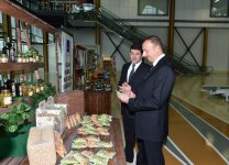 Президент Азербайджана Ильхам Алиев ознакомился с городком Гилан Гида (ФОТО)