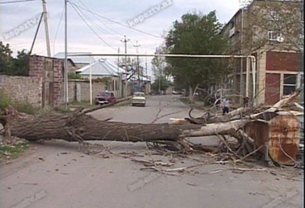 Град и ураган нанесли ущерб домам и посевным площадям в Агдамском районе