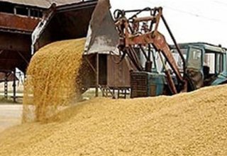 Kazakhstan completing grain harvest