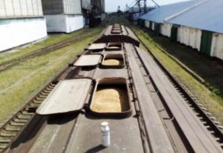 Grain imported by Azerbaijan from Kazakhstan not to rise in price - expert