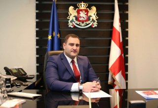 Глава МВД Грузии подал в отставку