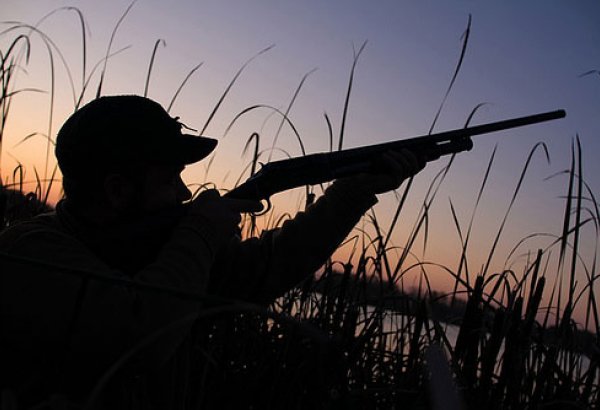 В Азербайджане значительно увеличен штраф за незаконную охоту