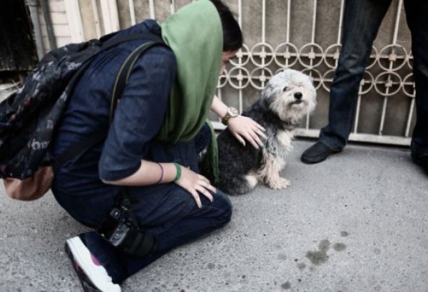 People walking their dogs in Iran can be punished with lashes