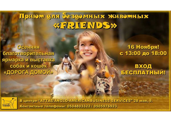 В Баку пройдет благотворительная ярмарка-выставка собак и кошек
