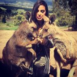 Лейла Алиева ознакомилась в национальных парках Австралии с работами по охране окружающей среды и биоразнообразия (ФОТО)