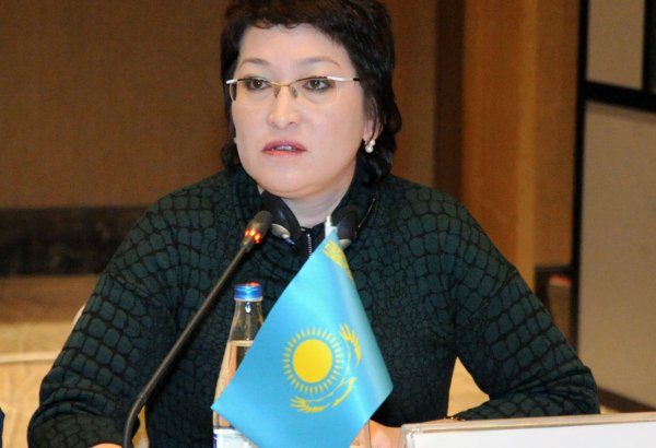 В следующий раз министры образования тюркоязычных стран соберутся в Казахстане
