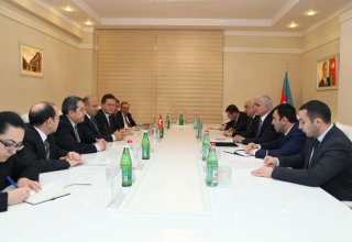 Более трети иностранных компаний в Азербайджане представляют Турцию - министр
