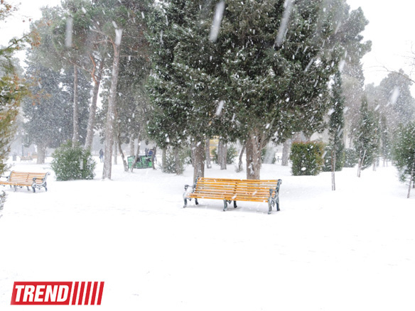На юге Азербайджана за ночь выпало более 25 см. снега