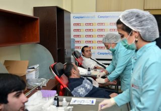 Ailə TV организовала благотворительную акцию по сдаче крови (ФОТО)