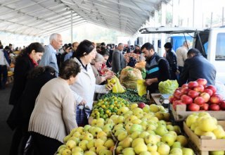 First New Year agricultural fair starts in Baku