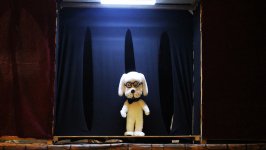 В бакинском Кукольном театре показали "Волшебное кольцо" (ФОТО)