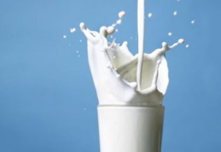 Азербайджанское предприятие «Атена» до конца 2019 года расширит ассортимент молочной продукции