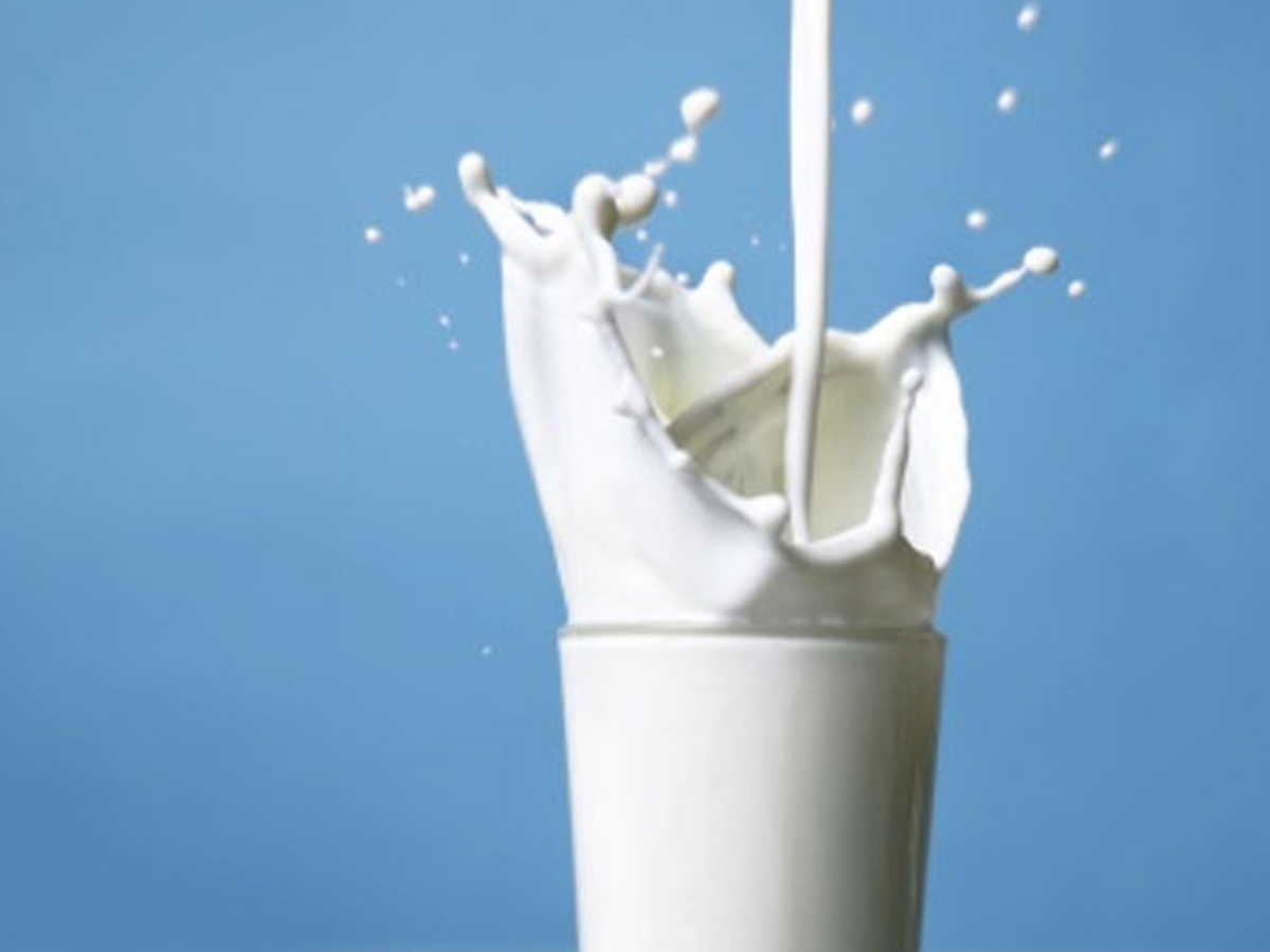 В Азербайджане предлагается запретить продажу продукции из сухого молока под видом молочной продукции