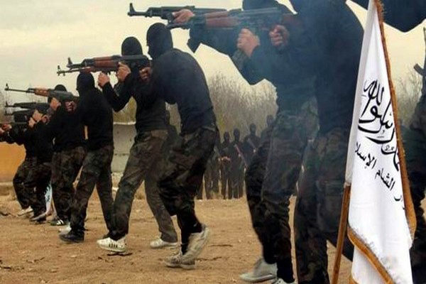 Number of Turkish citizens who joined IS revealed