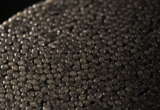 Iran discloses value of caviar exported from Gilan province