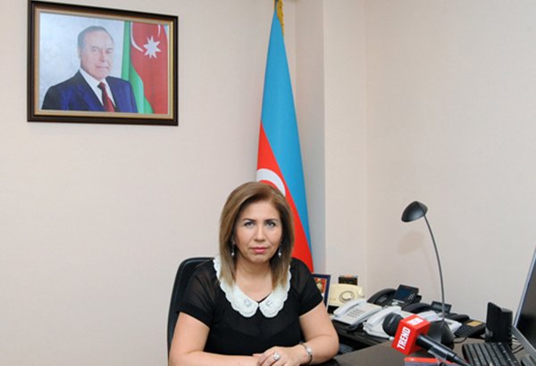US has politicians who serve Armenians’ interests - Azerbaijani vice-speaker