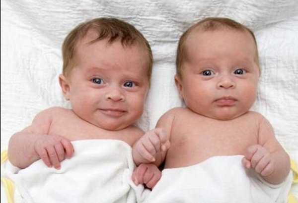 В Германии родились близнецы с разницей в 97 дней