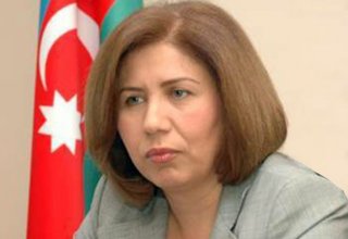 Azerbaycan Parlamento Başkan Yardımcısı: “Türkiye içindeki birlik bazı güçleri rahatsız ediyor”