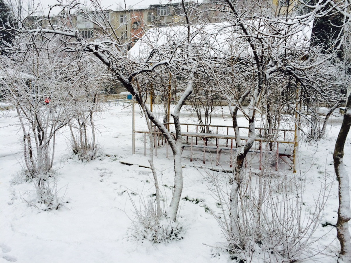 На западе Азербайджана выпал сильный снег