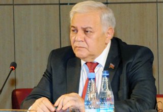 Azerbaycan Parlamento Başkanı Türkiye'de karşılandı