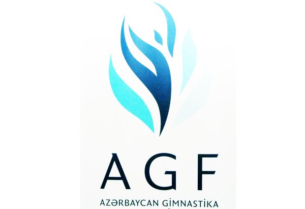 Executive Committee of Azerbaijan Gymnastics Federation holds meeting