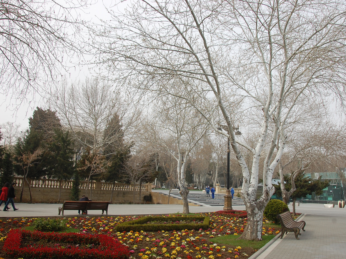 Температура воздуха в январе в Азербайджане будет близка к климатической норме