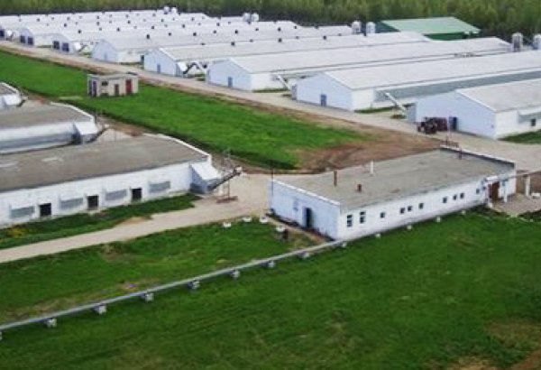 Azerbaijan’s Agjabadi agricultural park may be commissioned in late 2018