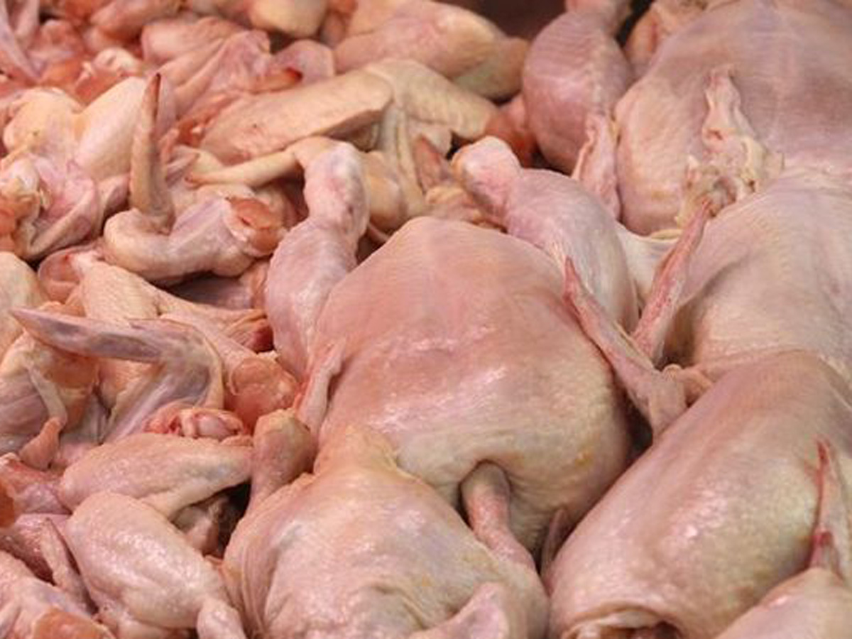 В Баку выявлено около тонны непригодной к употреблению  курятины