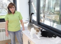 Animal housing and treatment center operates in Azerbaijan (PHOTO,VIDEO)