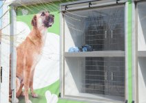 Animal housing and treatment center operates in Azerbaijan (PHOTO,VIDEO)