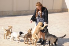 One day in Azerbaijan's Animal Rescue Center in Baku - (PHOTOS)
