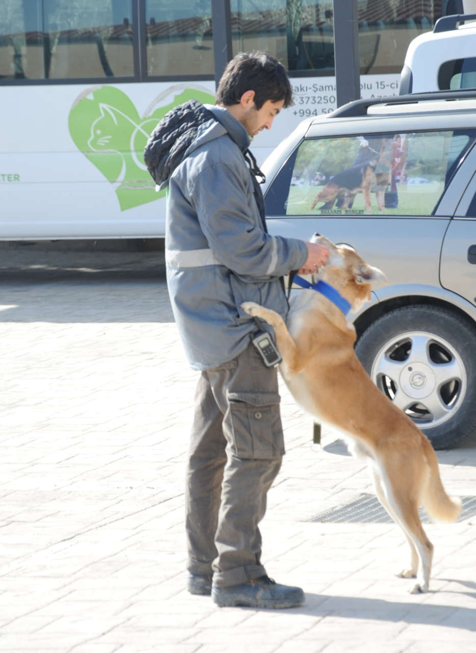 One day in Azerbaijan's Animal Rescue Center in Baku - (PHOTOS)